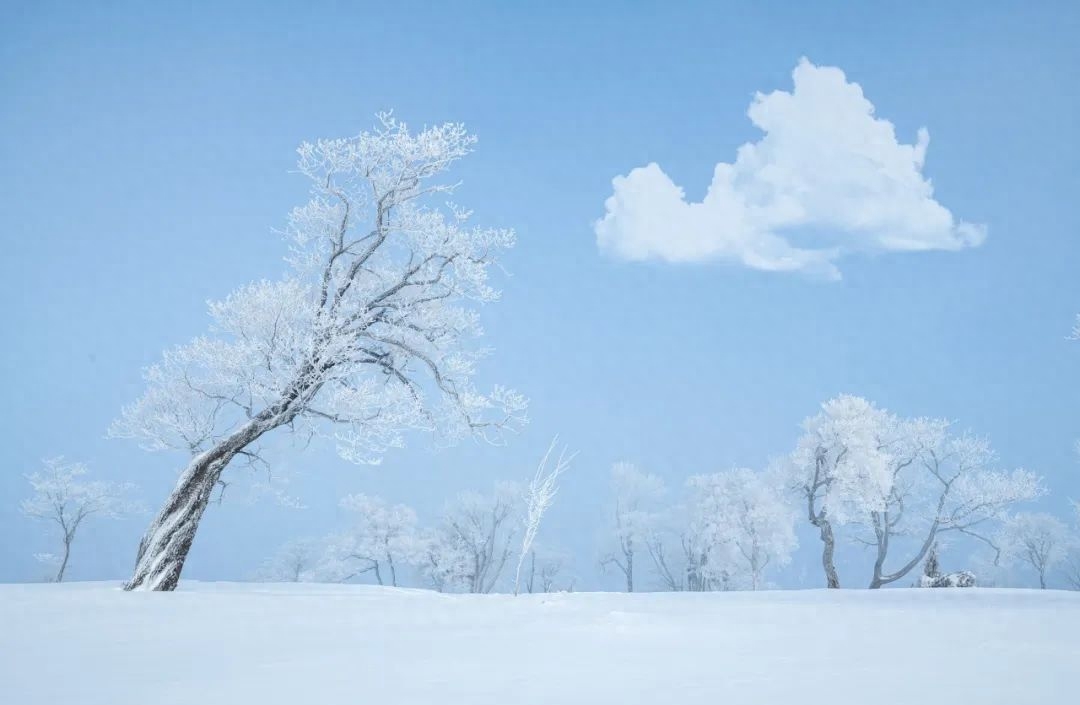 柳絮风起，枝头花开（10首咏雪诗词）