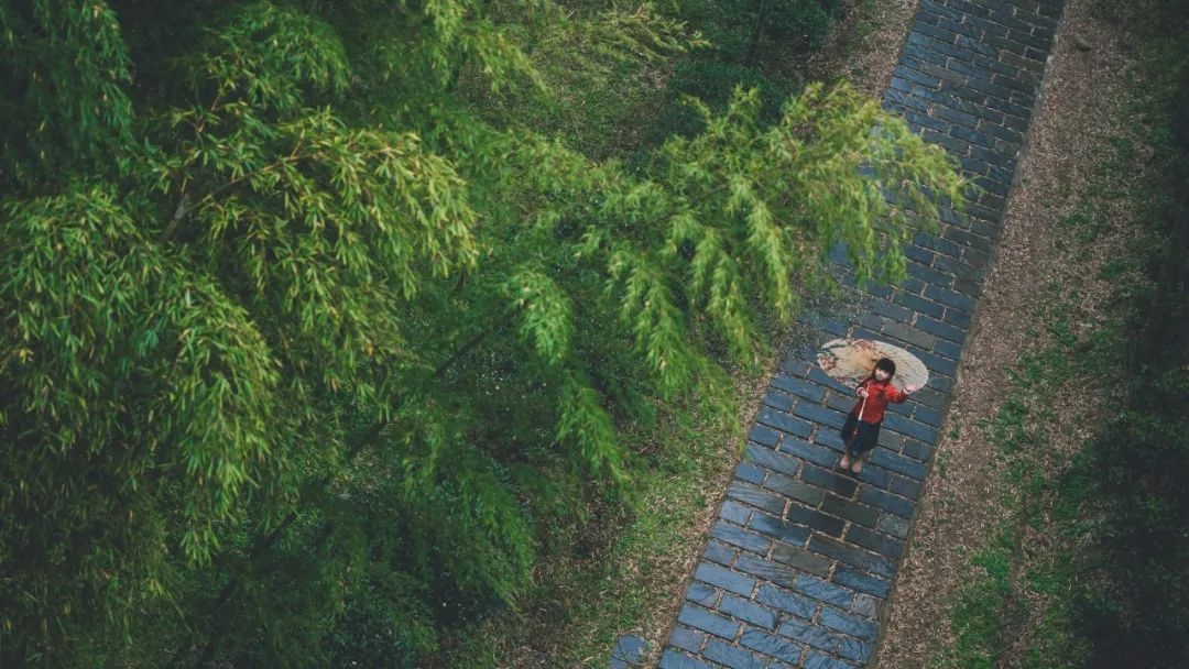 半夏听雨声，凉意入心来（30首夏雨诗词）