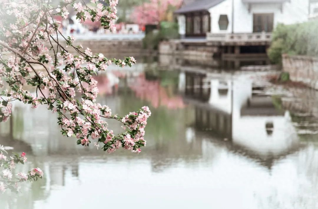 人间暮春，花落时节（30首落花诗词）