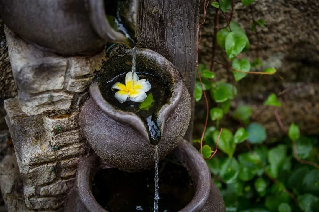 人间暮春，花落时节（30首落花诗词）