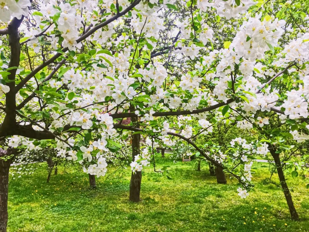 人间暮春，花落时节（30首落花诗词）