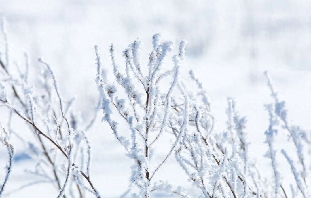 江南江北，大雪漫漫（唯美10首大雪诗词）