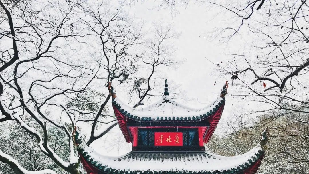 踏雪寻梅，一枝独秀（优美的10首梅雪诗词）