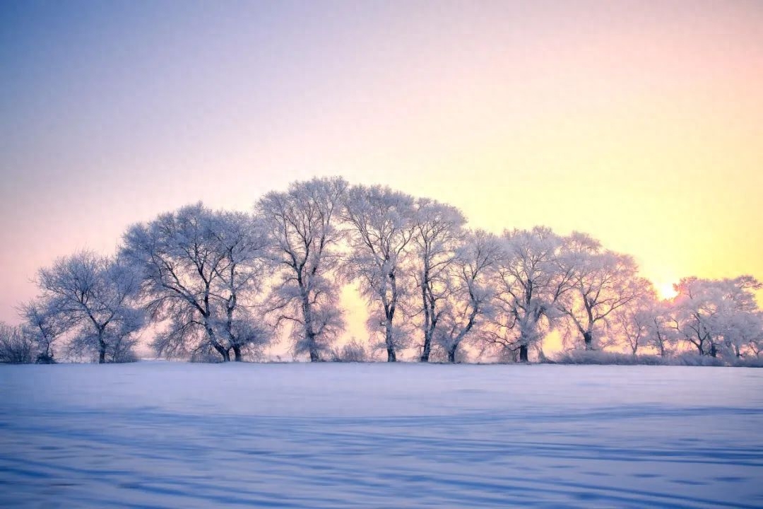 冬雪古诗名句摘抄（分享36首冬雪诗词）