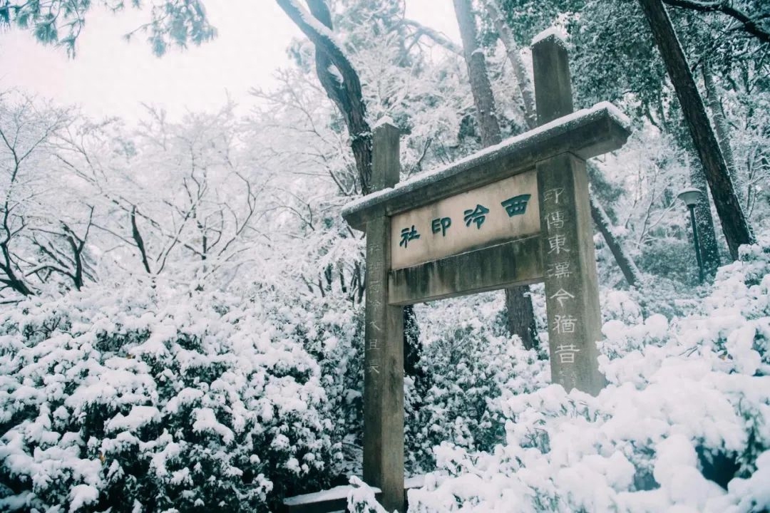 柳絮风起，枝头花开（精选10首咏雪诗词）