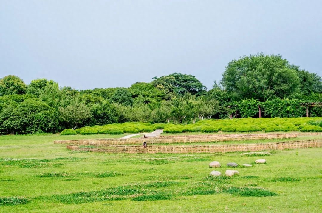 凉风送爽，池清荷香（10首唯美夏至诗词）