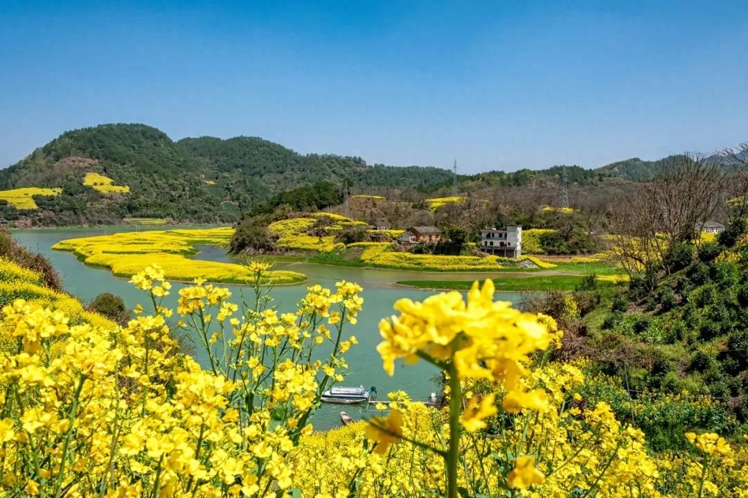 春色忽向晚，风定落花香（10首晚春诗词）