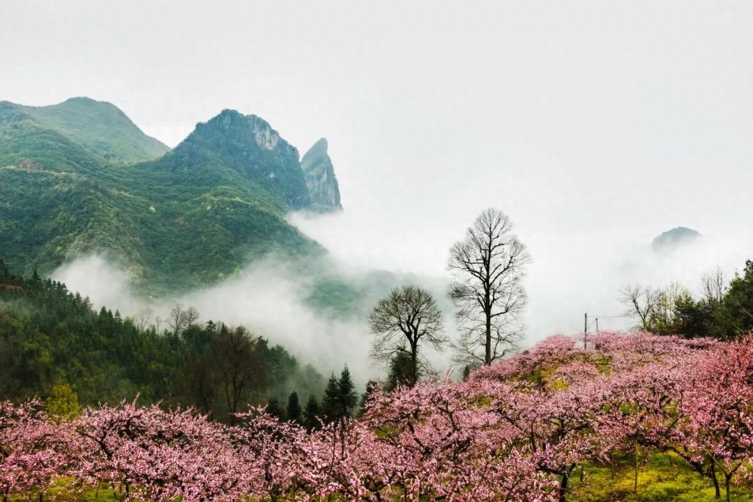 落花时节，风轻草绿（10首绝美四月诗词）