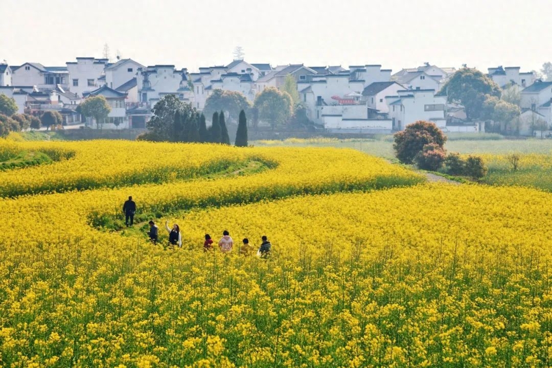 落花时节，风轻草绿（10首绝美四月诗词）