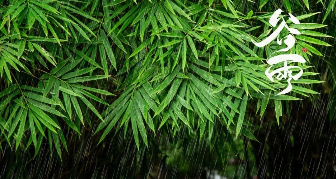 春雨落，百谷生（10首唯美谷雨诗词）