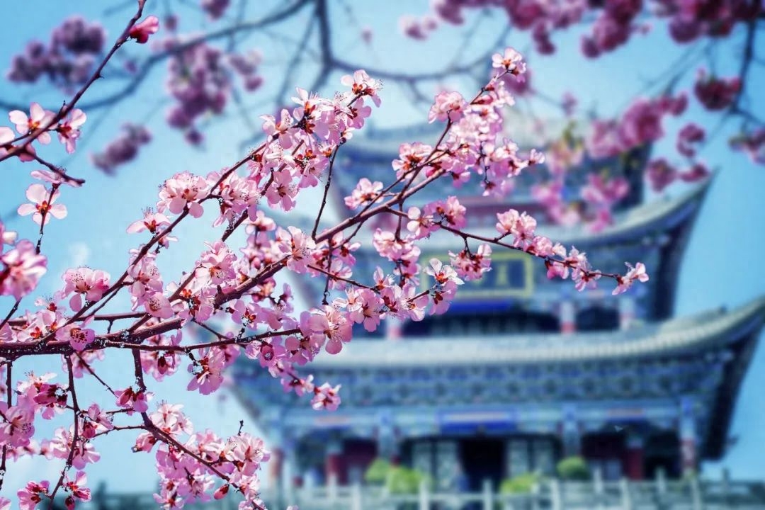 落花飞絮，春意阑珊（唯美的10首清明诗词）