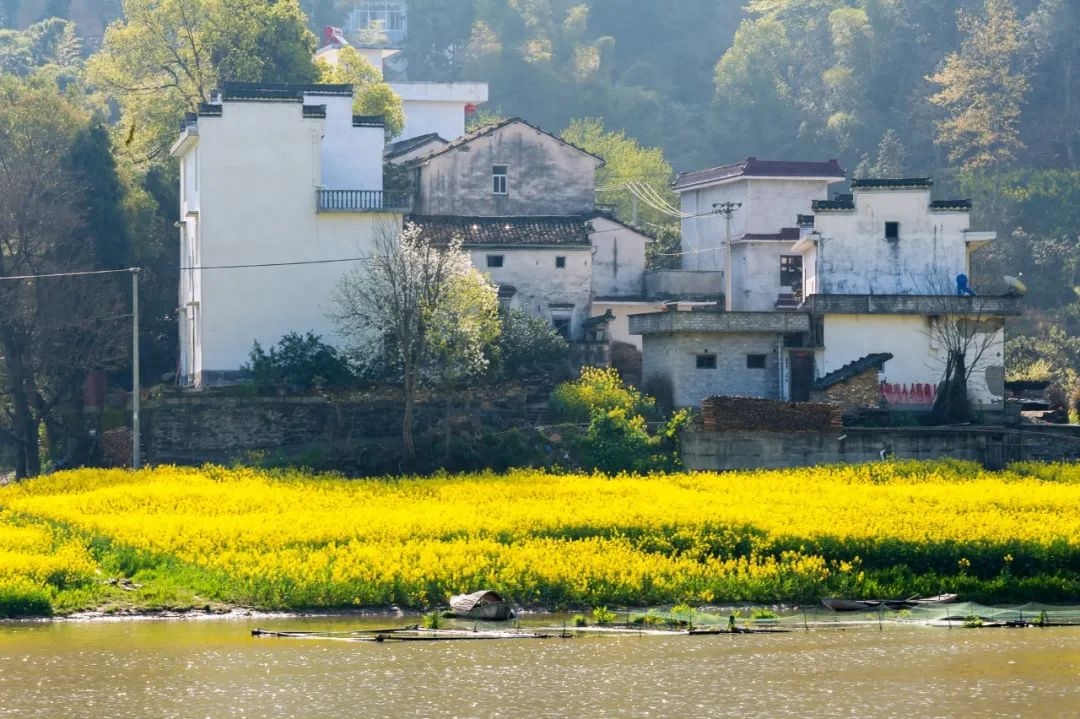 落花飞絮，春意阑珊（唯美的10首清明诗词）