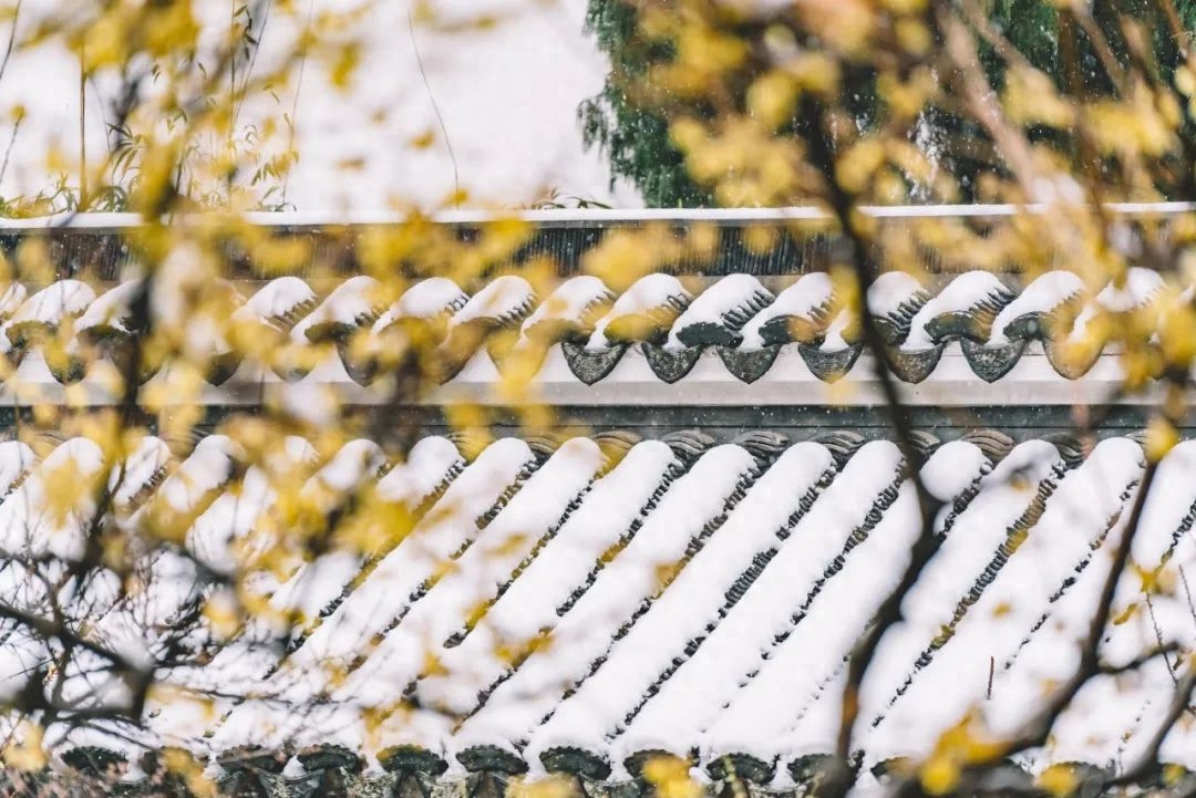 岁暮雪落，梅花暗折（优美的10首大寒诗词）