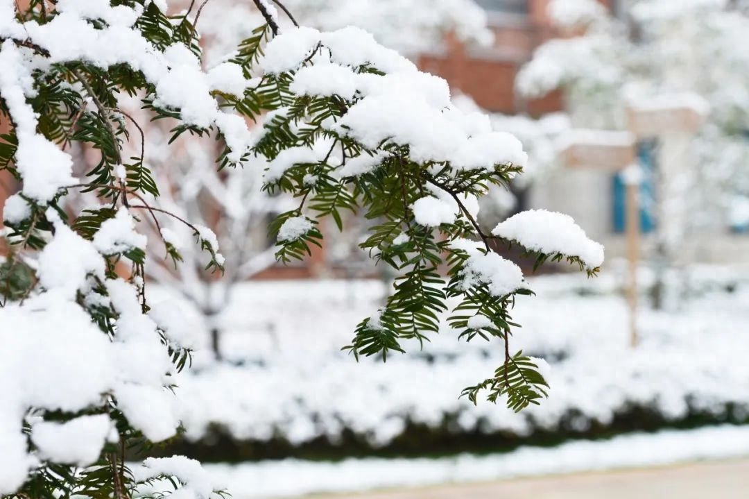 江天暮雪，落尽琼花（10首唯美冬雪诗词）