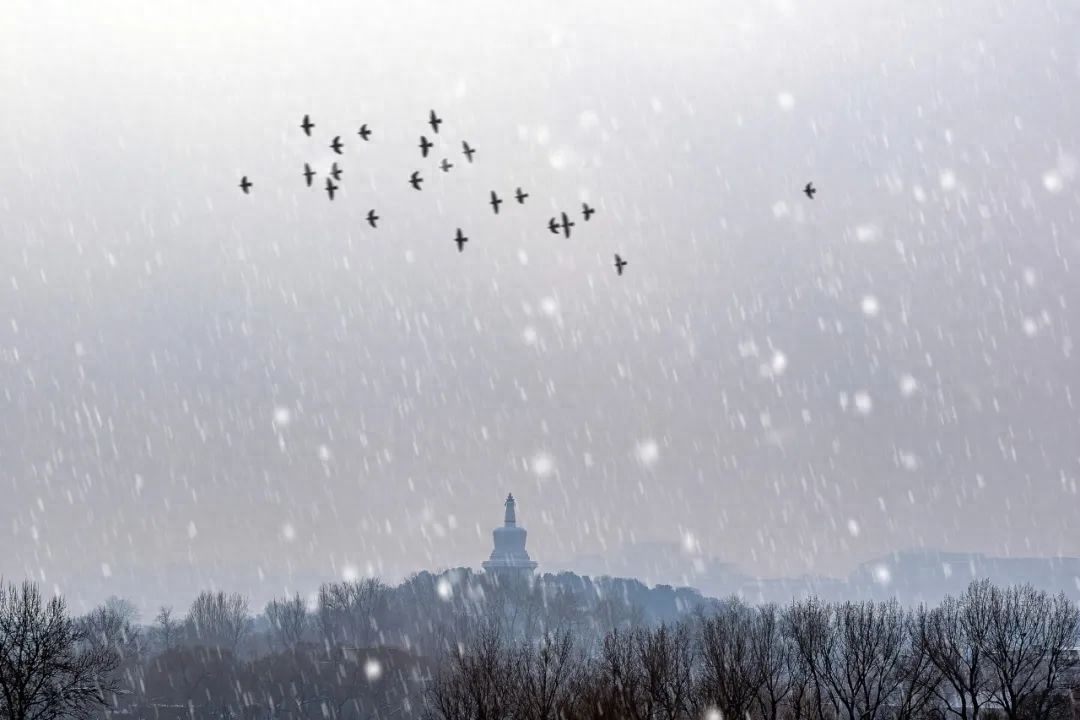 江天暮雪，落尽琼花（10首唯美冬雪诗词）