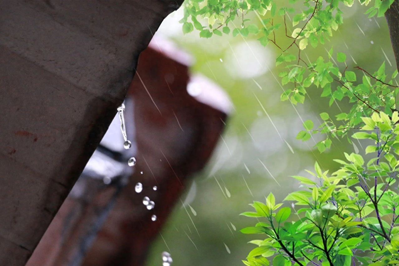 贺铸经典的10首宋词（凌波横塘，梅子疏雨）