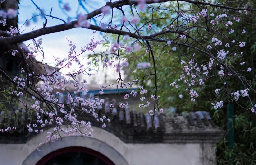 刘长卿经典的10首唐诗（风雪夜归，落花无声）