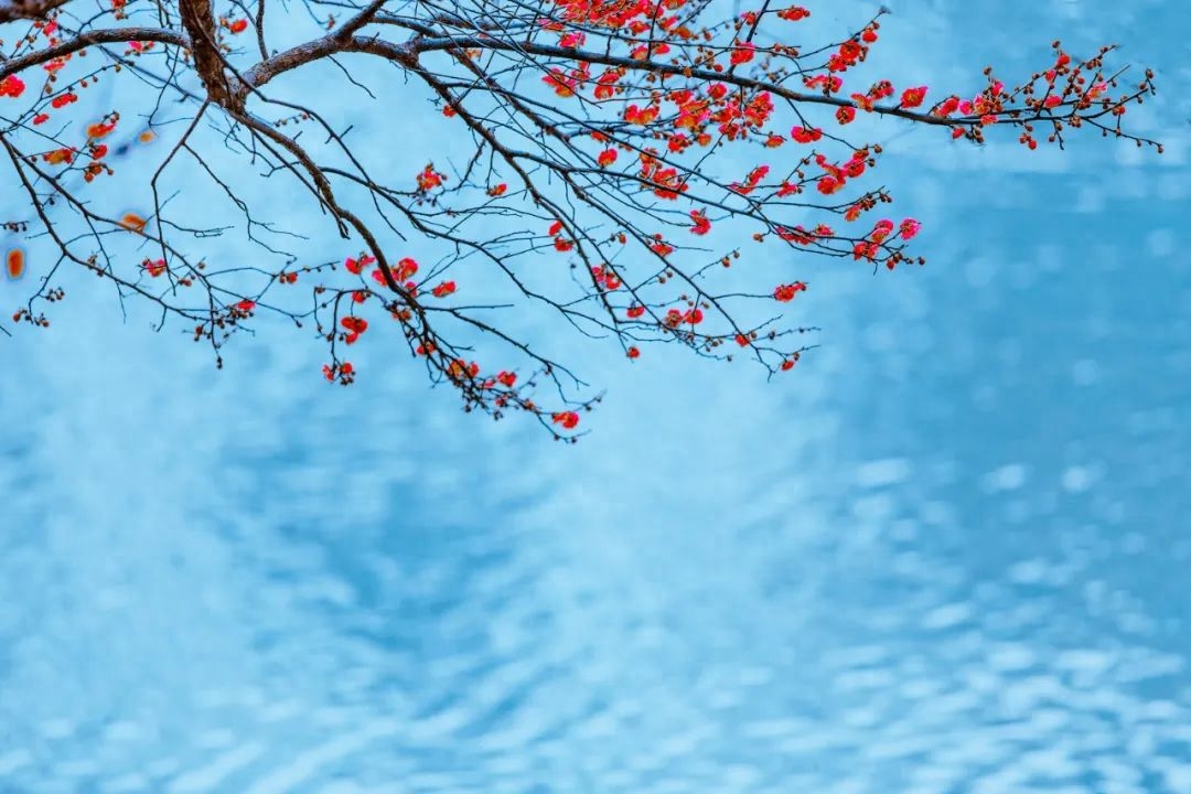 韦庄经典的10首诗词（碧天春水，画船听雨）