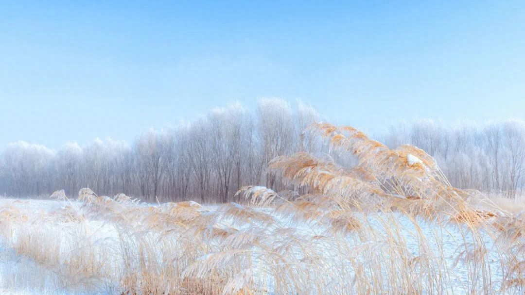 冬雪唯美的10首诗词（如冰如玉，纯美轻盈）