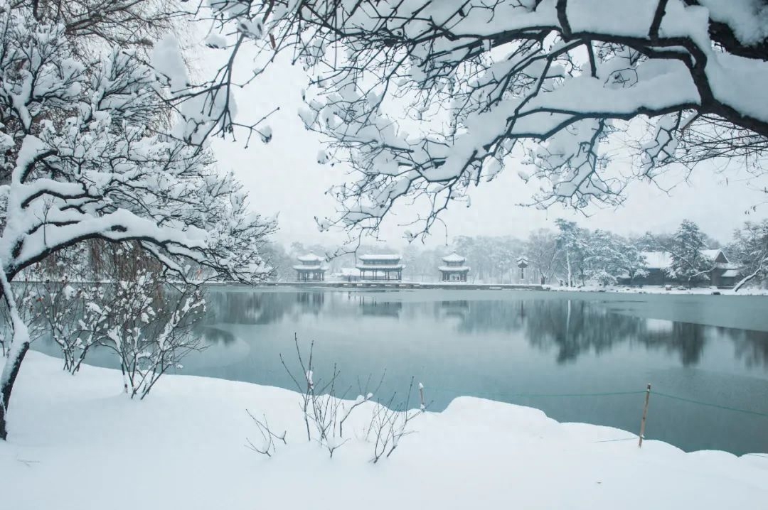 冬雪古诗名句摘抄（12句冬雪诗词）