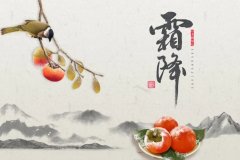 山河暮秋至，闲看松云淡看花（10首优美霜降诗词）