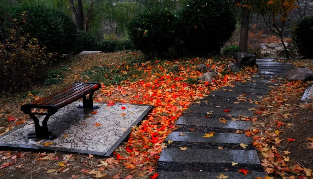 清秋有梦，雨落成诗（10首唯美秋雨诗词）