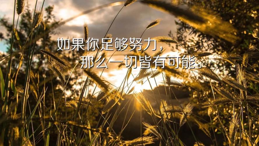 有关鼓励名言经典语录的好句有哪些（鼓舞人心，启迪生命）