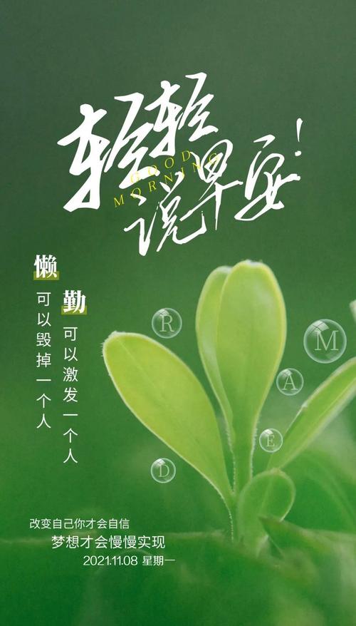 鼓励学生积极努力的句子（《奋发向前，追逐梦想》）