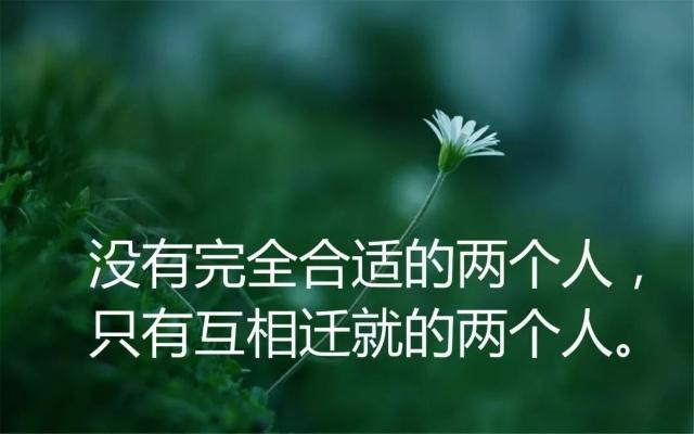 有关工作成长与感悟句子的短句英语（凝聚力）