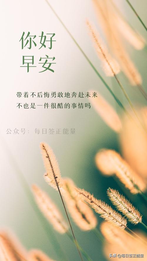 给予的句子经典语录（心灵的滋养：给予的美好）