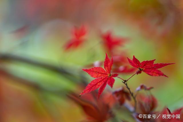 告别8月的句子迎接9月的句子（岁月如歌，时光如梦）