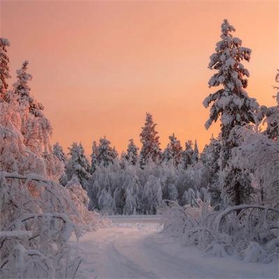 抖音下雪超级火的句子短句（抖音下雪，美不胜收）