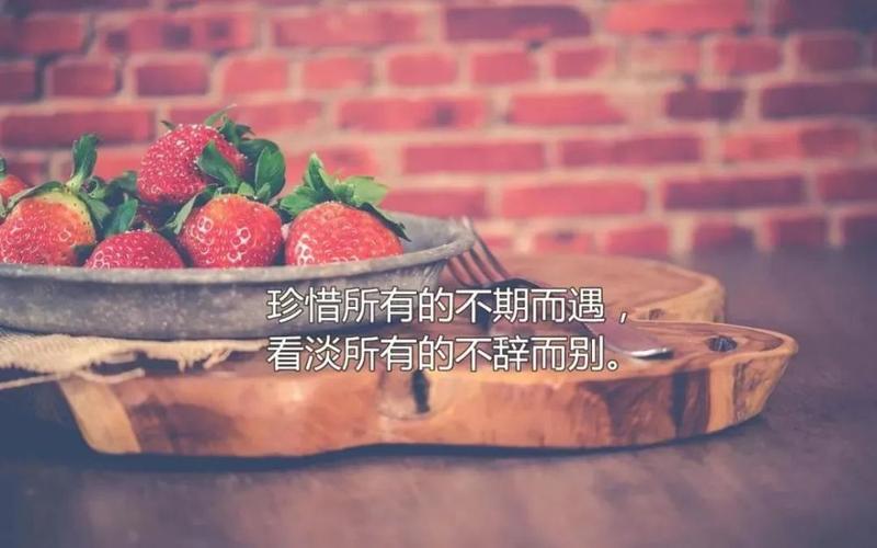 感悟生活的短句（《感悟生活》——领悟生命的美好）