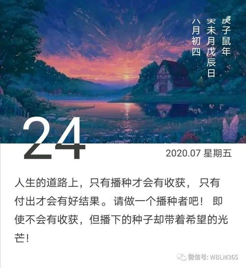 感叹经历苦难的句子（探寻坎坷背后的美丽）