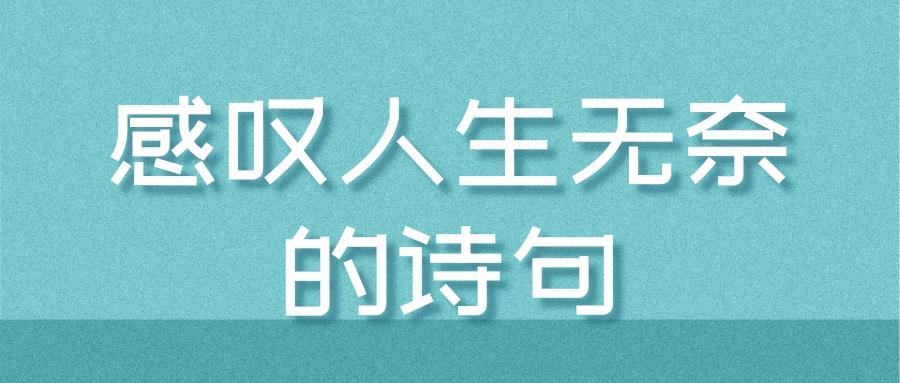 有关感叹人生美好的句子的短句有哪些（感怀人生美好）