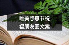 合适感恩节发朋友圈的精美句子（珍惜友情，铭记感恩——2023感恩节朋友圈说说祝福语）