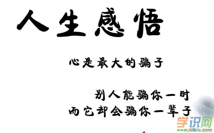 富有生活哲理的摘抄（深度探寻生命真谛，名言警句指引人生路）