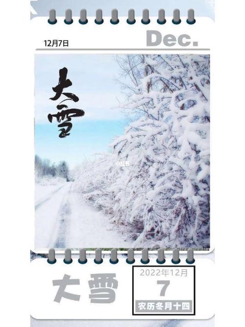 24节气大雪节气说说一句话（雪落清幽，心静如水——以大雪为主题的二十四节气的美好）