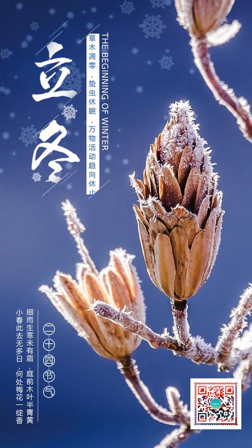 二十四节气冬至祝福语（美好时刻，美好祝福）