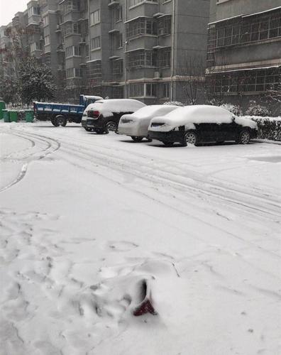 下雪的幽默说说发朋友圈（雪落人间，幸福如诗）