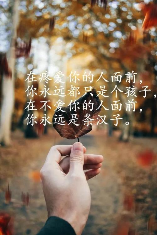 发朋友圈说说短句（感受生活中的美好，用唯美短句记录心情）