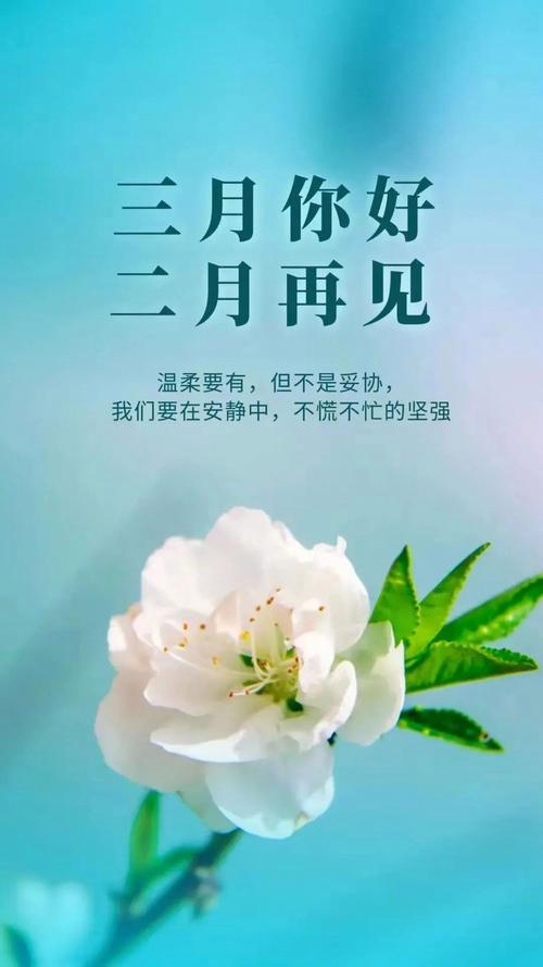 有关二月再见三月你好说说心情短句的好句有哪些（《二月再见三月你好——春天的交替》）