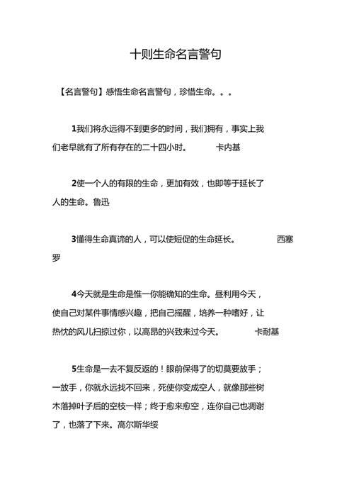 有关对生命生活的意义的名言警句的句子摘抄（生命的意义：探寻唯美的人生真谛）