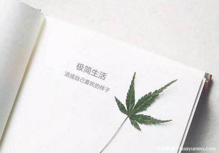 有关对待生活态度的名言的句子有哪些（一份心情，一种态度）