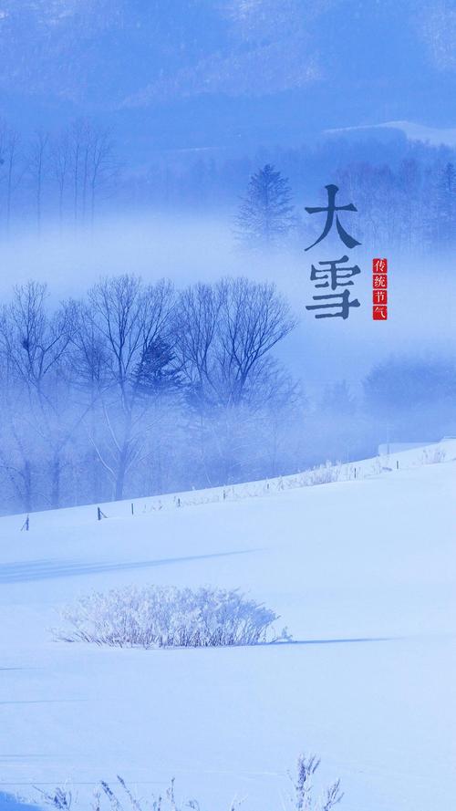 大雪节气祝福语短句（短语丰富、表达优美。）