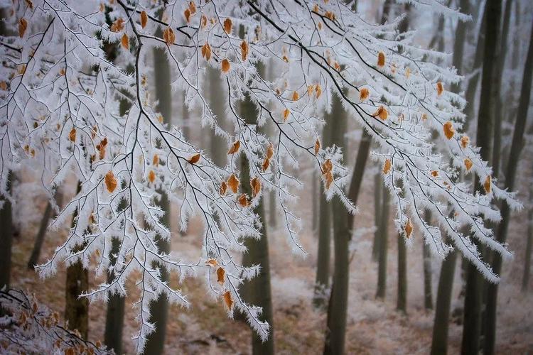 冬天下雪朋友圈优美的心情说说（《雪落心间》）