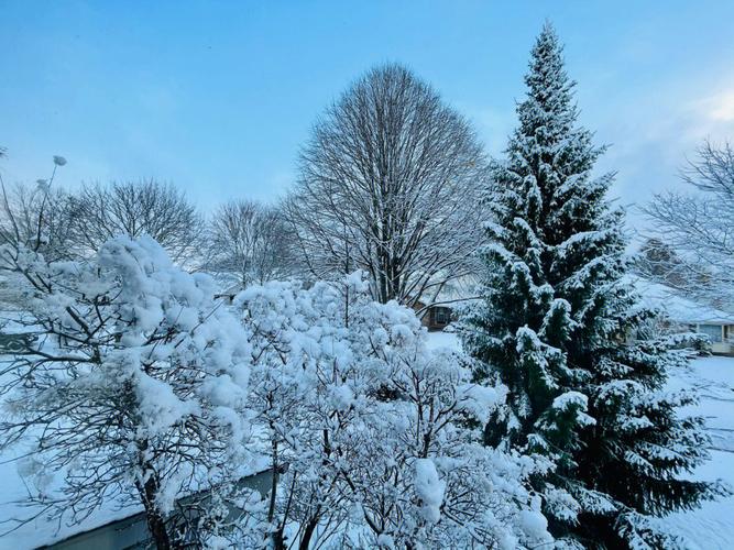 关于冬天第一场雪的唯美说说（《雪花飞舞，纯白世界》）