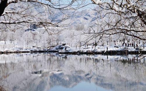 有关冬天的第一场雪说说的好句有哪些（初雪之梦）