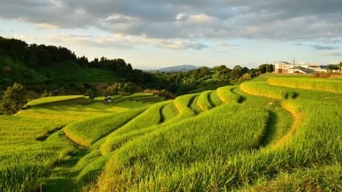 关于窗外的写景作文（《秋天的写景》）