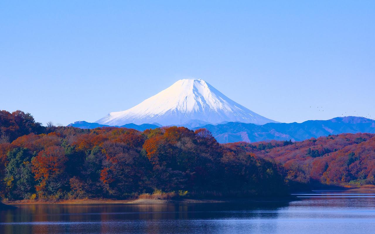 关于春天的写景作文（《乡村的写景》）